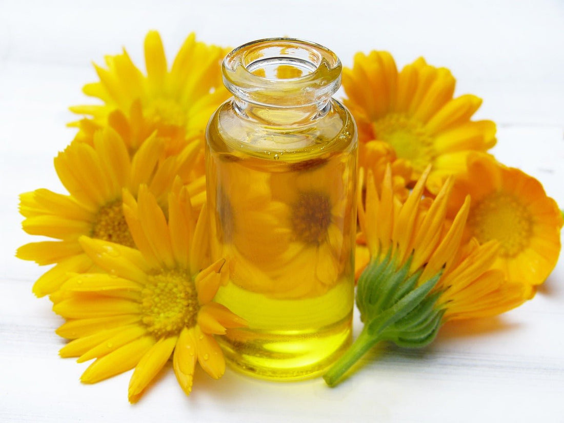 Transform Your Skincare Routine with Calendula: The Golden Flower of Beauty - The Herbal Alchemist